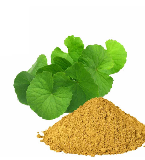 Brahmi Powder